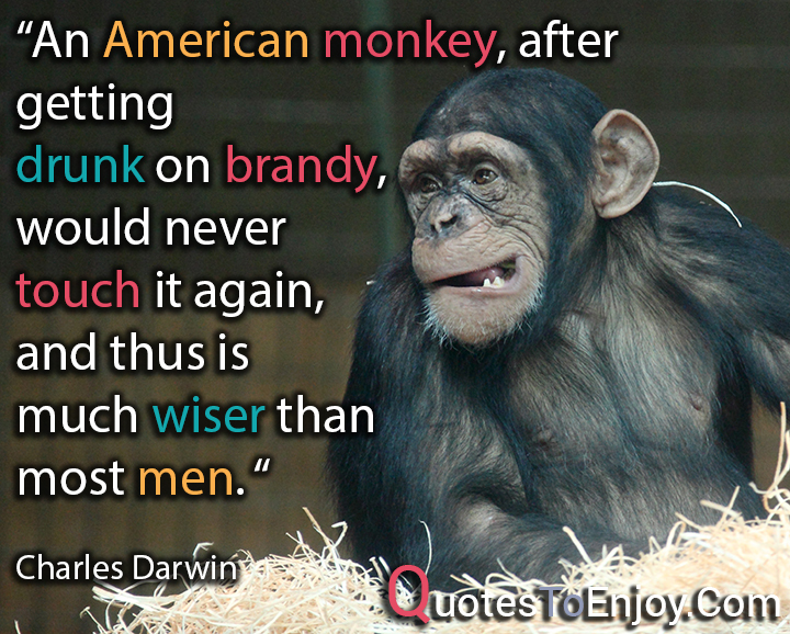After monkeys
