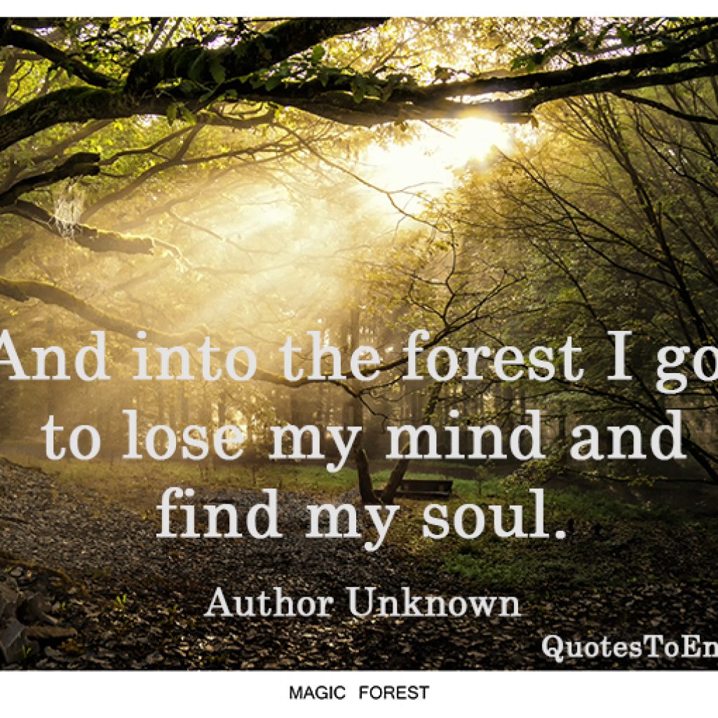 and-into-the-forest-i-go-to-lose-my-mind-and-find-my-soul | QuotesToEnjoy