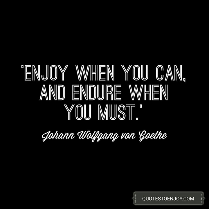 Enjoy When You Can And Endure When — Johann Wolfgang Von Goethe