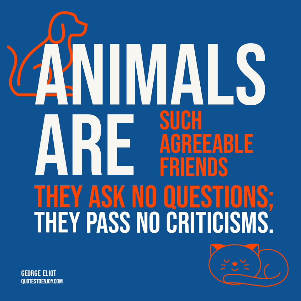 write an informative, research-based essay that explains what factors contributed to the escalation of the cold war.