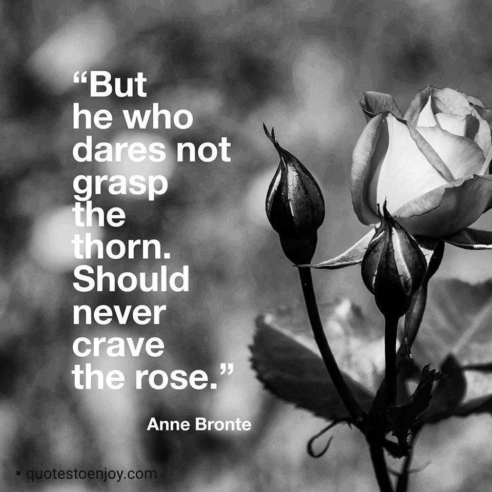 But he who dares not grasp the thorn. Should never crave... Anne Bronte