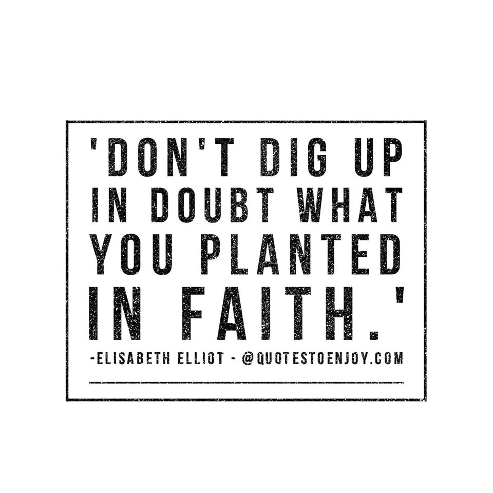 Don-t-dig-up-in-doubt-what-you-planted-in-faith | QuotesToEnjoy