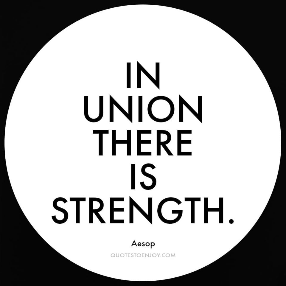 Inunionthereisstrength QuotesToEnjoy