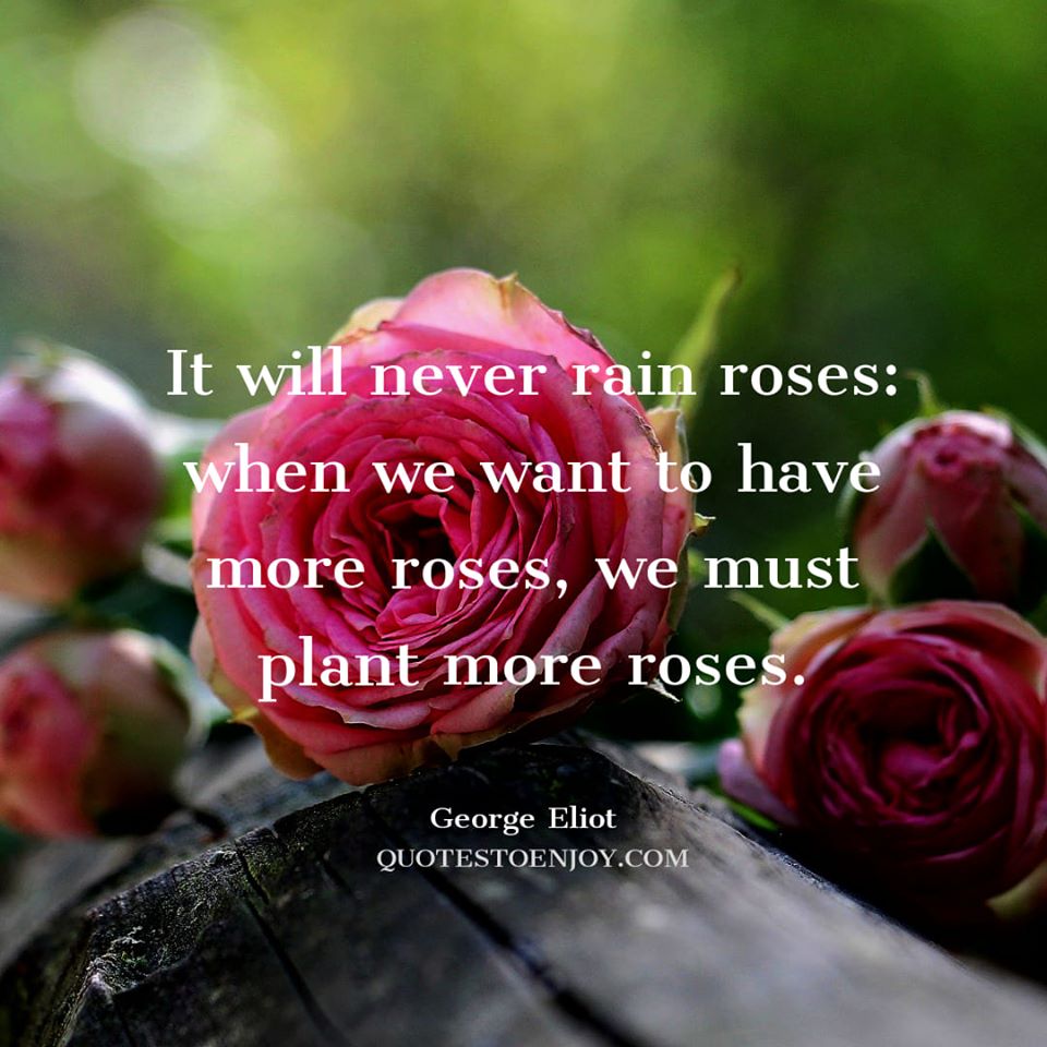 It will never rain roses: when we want to have more roses... - George Eliot