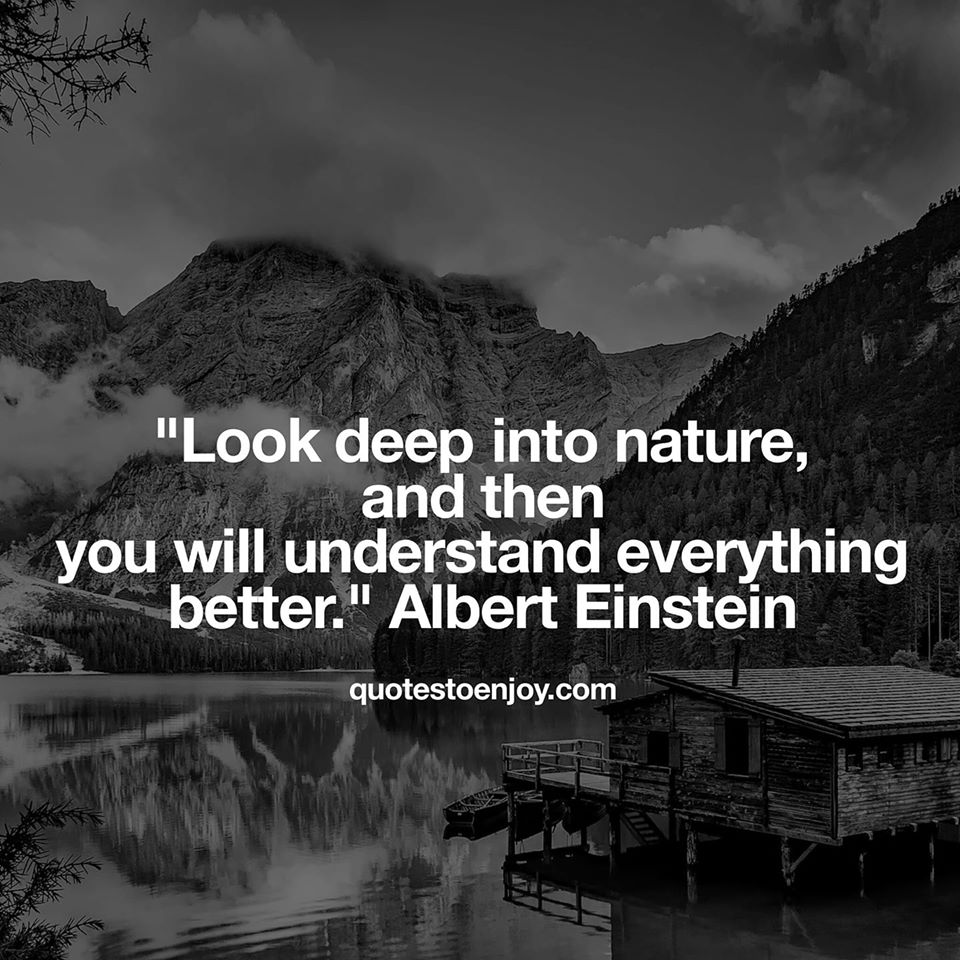 deep into nature, and then you understand... - Albert Einstein