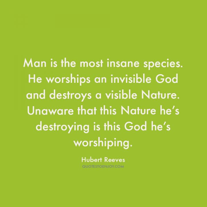 Hubert Reeves