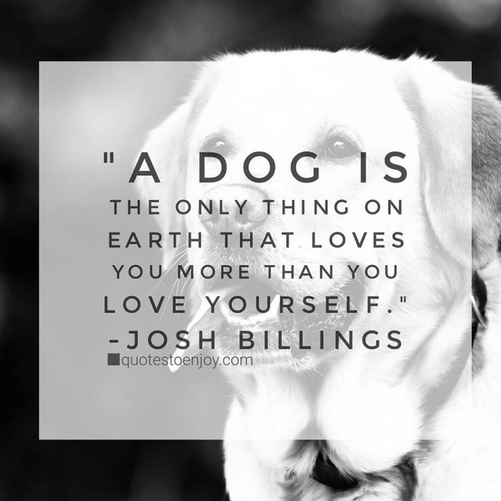 A dog is the only thing on earth that loves you more than... - Josh ...