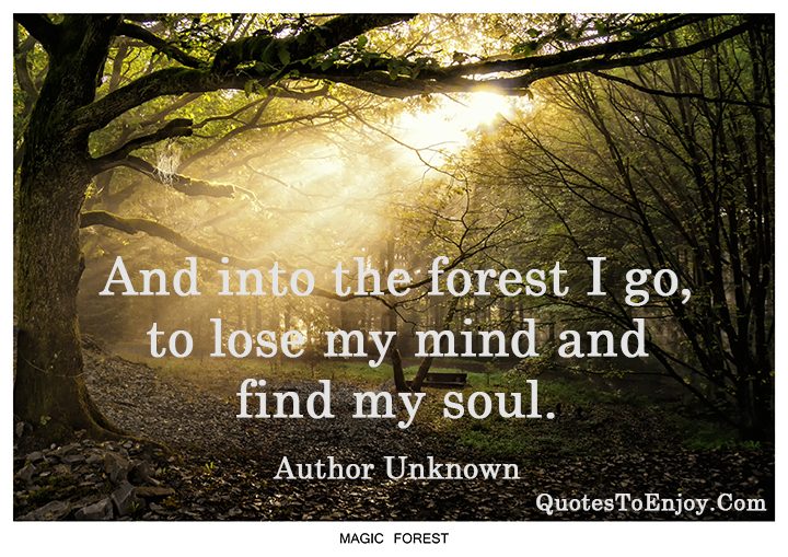 And Into The Forest I Go To Lose My Mind And Find My Author Unknown
