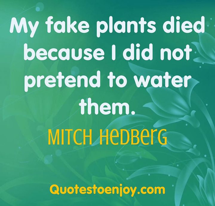 My fake plants died because I did not pretend to water... Mitch Hedberg