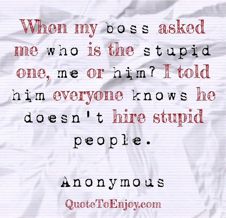When My Boss Asked Me Who Is The Stupid One Me Or Author Unknown
