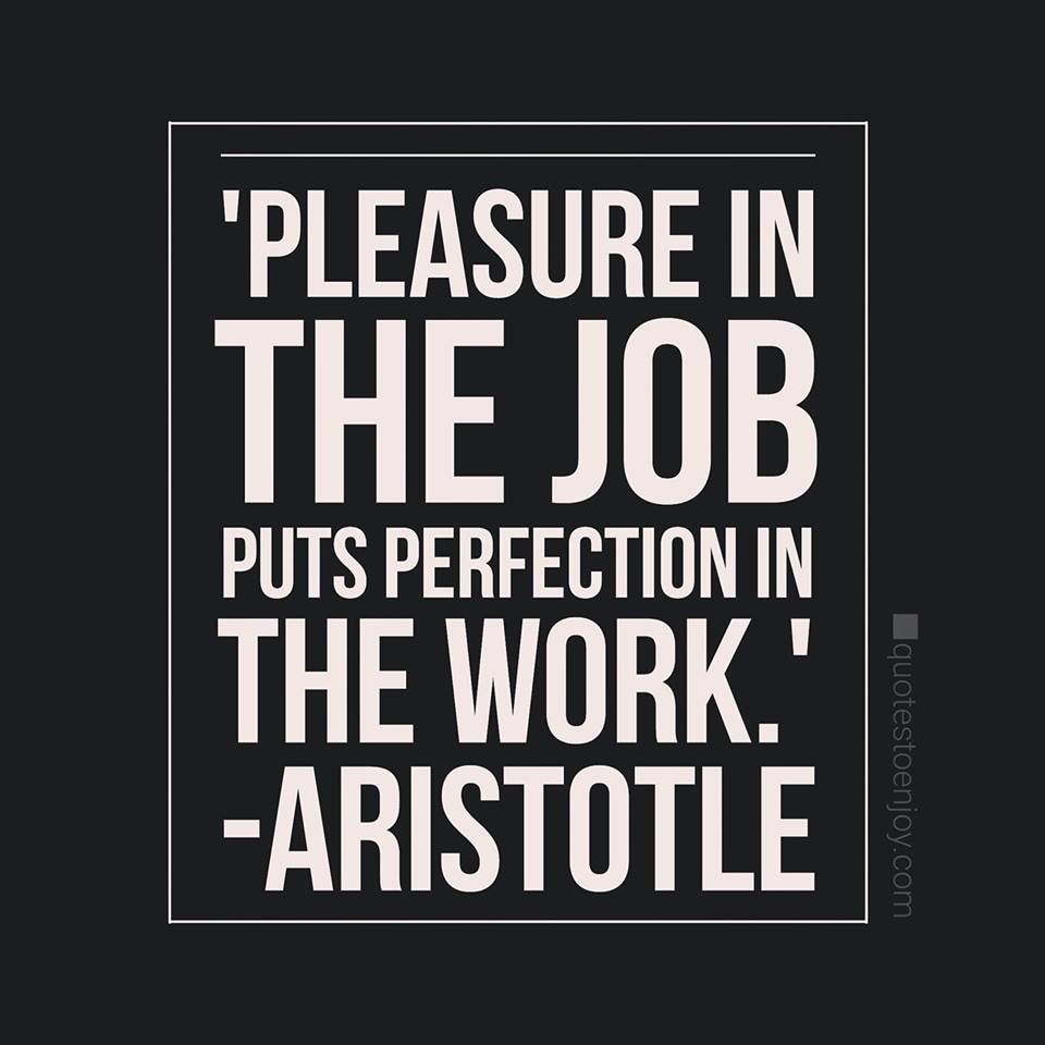 Pleasure in the job puts perfection in the work. Aristotle